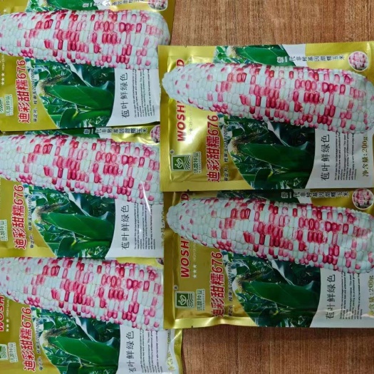 扶沟县花甜糯玉米