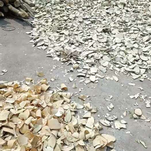 博白县大量三叉苦，量大从优