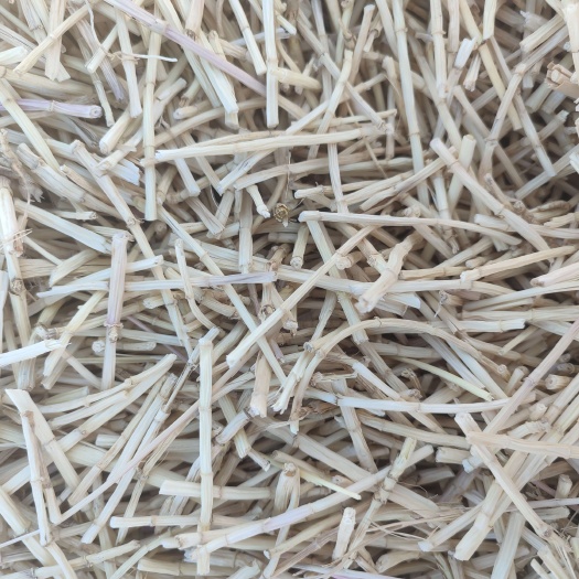 白毛根3公分，5到8公分茅根甜草根广东竹蔗茅根糖水材料凉茶