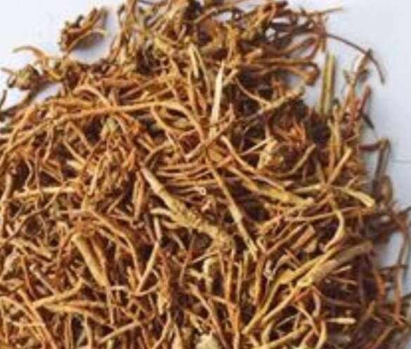 蔚县北龙胆草   水洗   统货