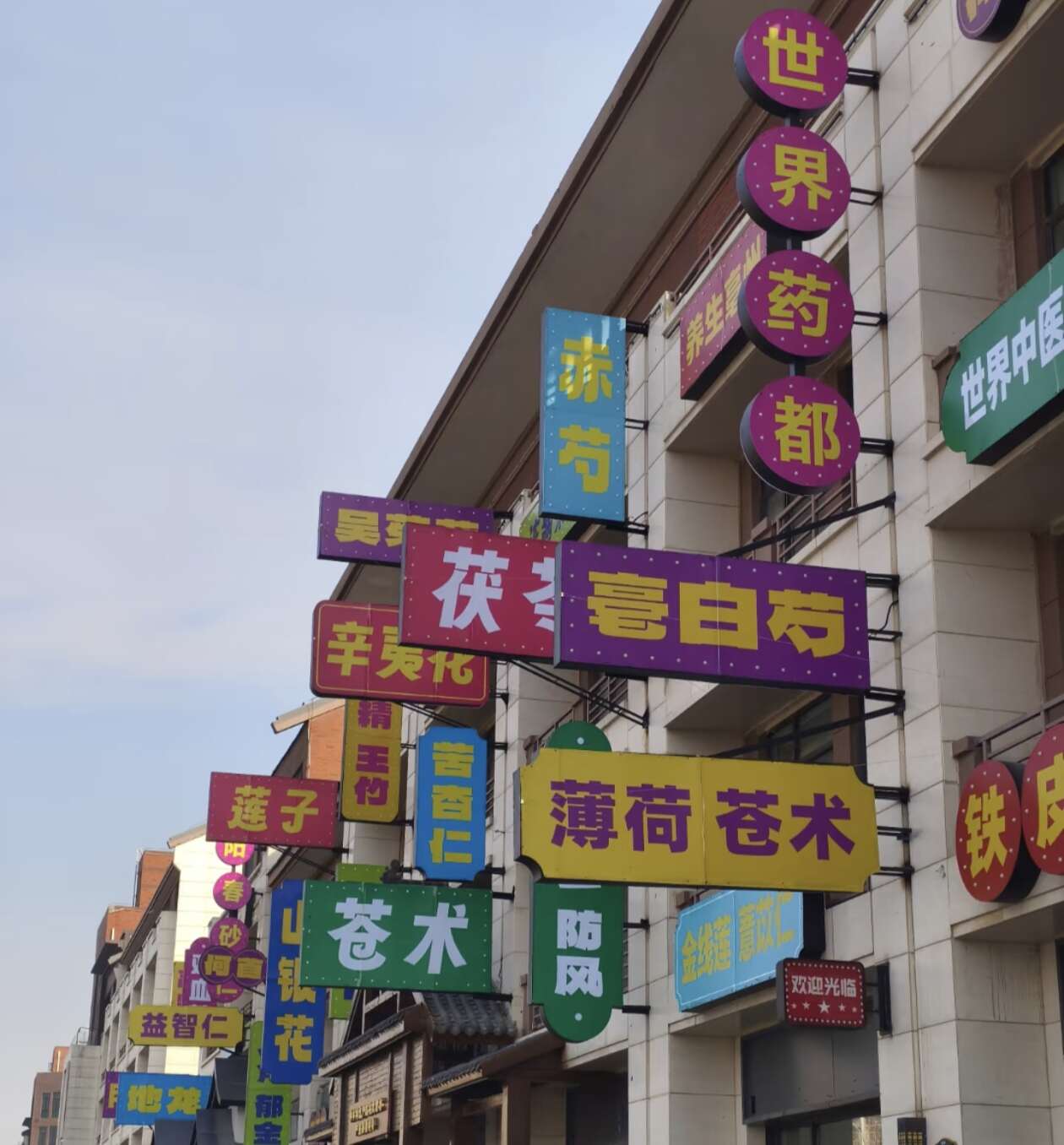 濟世堂中藥材店