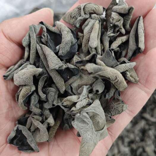 质量保证 东北黑木耳 小碗耳肉厚无根秋木耳 干货黑厚餐饮电商