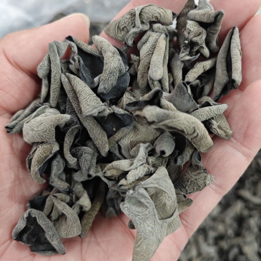 鲁山县质量保证 东北黑木耳 小碗耳肉厚无根秋木耳 干货黑厚餐饮电商