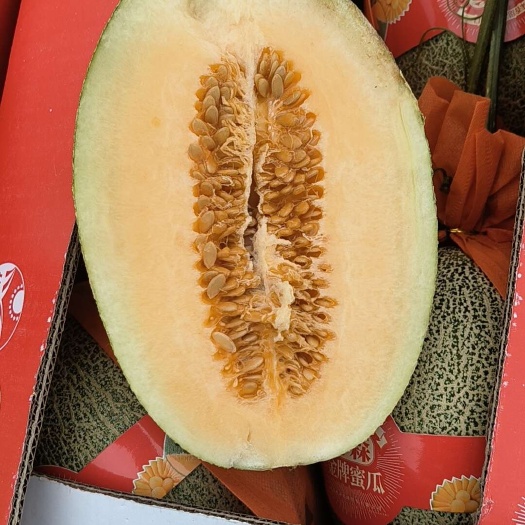 乐东县海南晓蜜二十五哈密瓜，大量有货