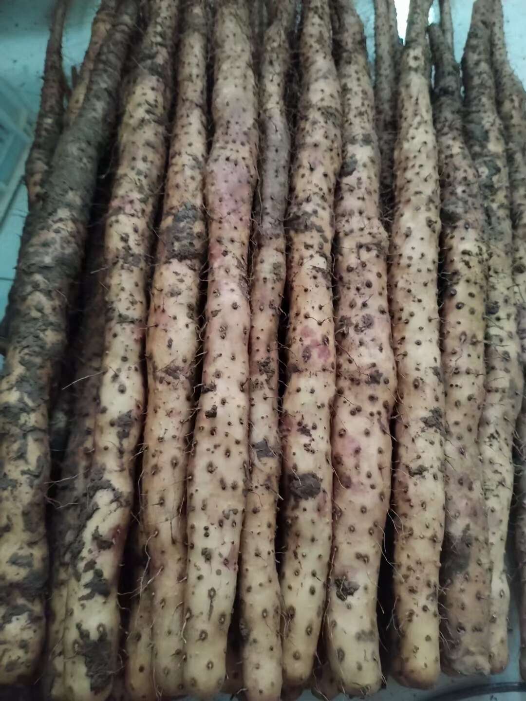 河南温县优质干山药片天然健康美味发货快无硫 带皮片足干
