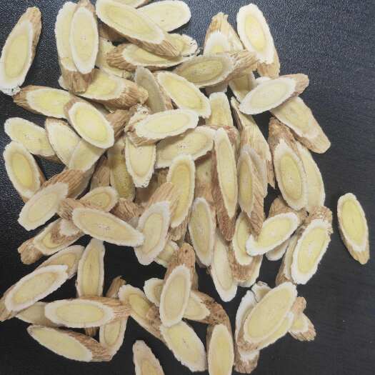 成都黄芪 甘肃黄芪 斜片无硫