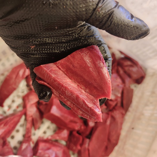 阳信县国产牛心，去油去膜，货源充足，质量保证，欢迎咨询订购