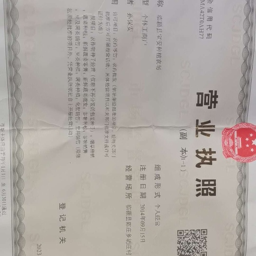 临颍县纯绿色环保无公害纯红薯手工粉条