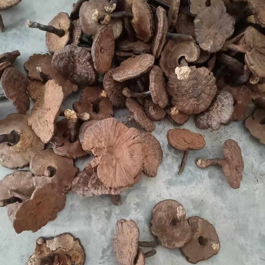 江西赣州寻乌县产紫灵芝中药材天然滋补通货 药材初级农产品