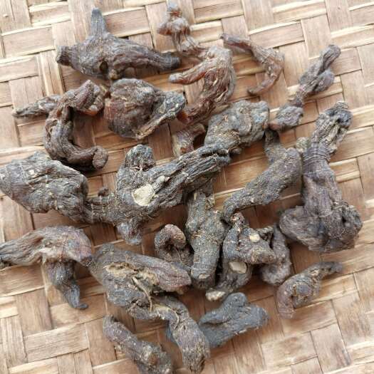 昆明黄精