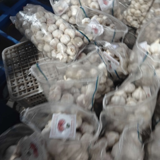 邳州市净蒜精品红蒜紫皮红蒜