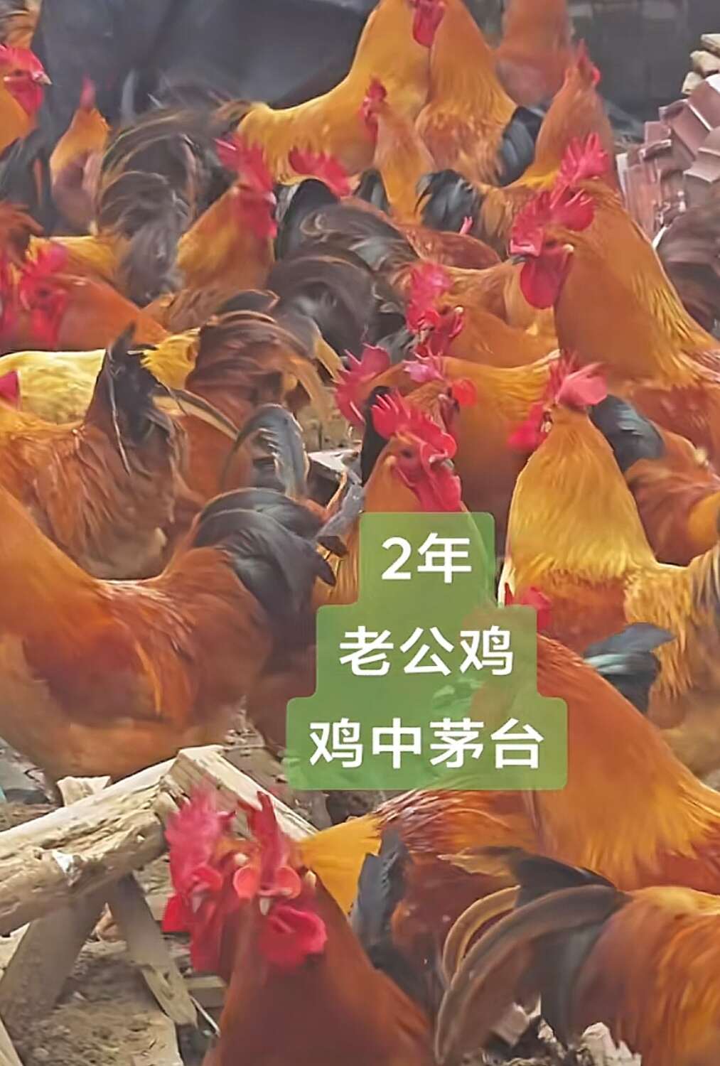 桂林聚緣土特產(chǎn)