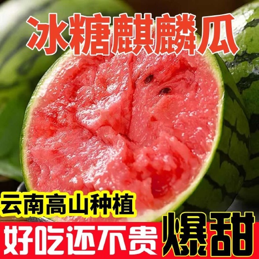 【好瓜不贵】超甜冰糖麒麟西瓜现摘薄皮无籽有籽一件代发全国包邮