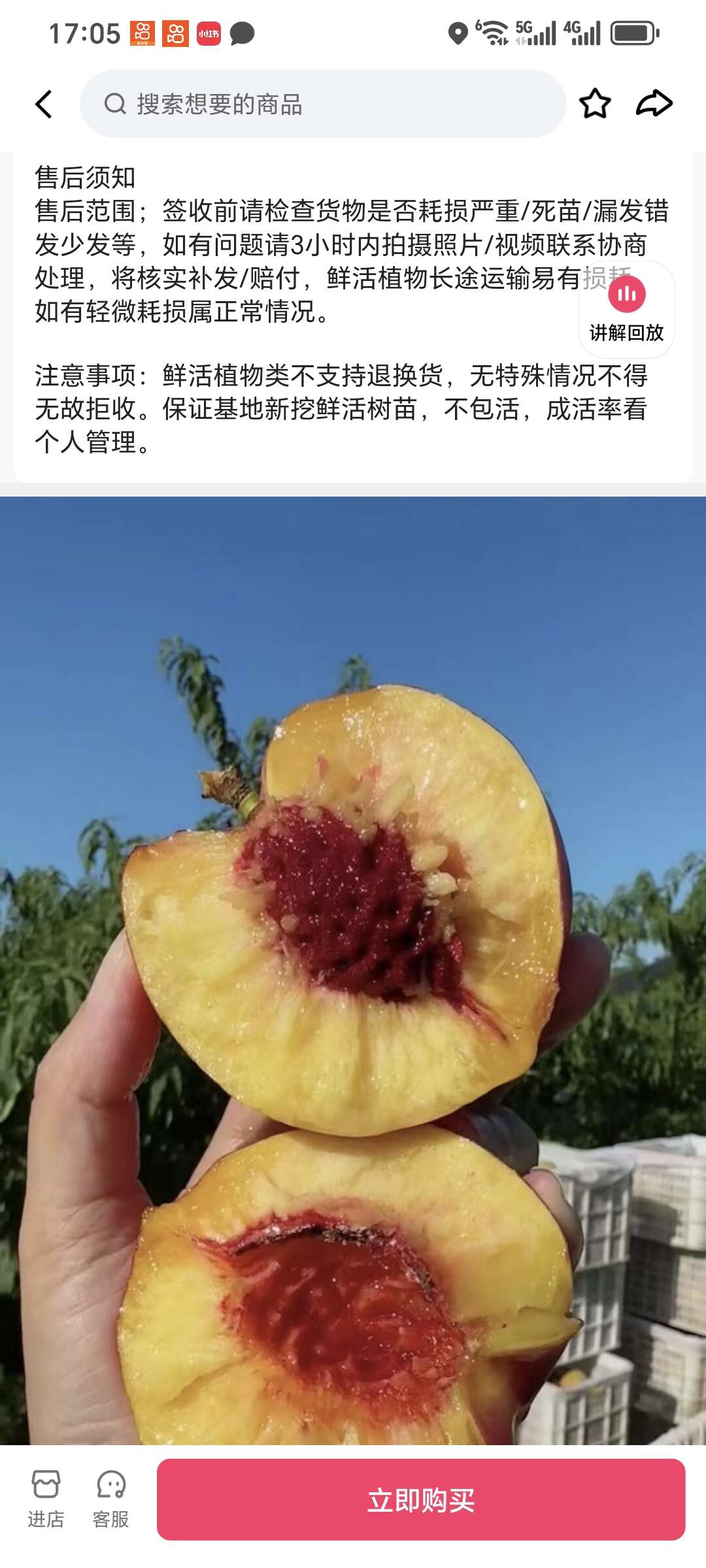 遼寧新品果樹(shù)苗木基地