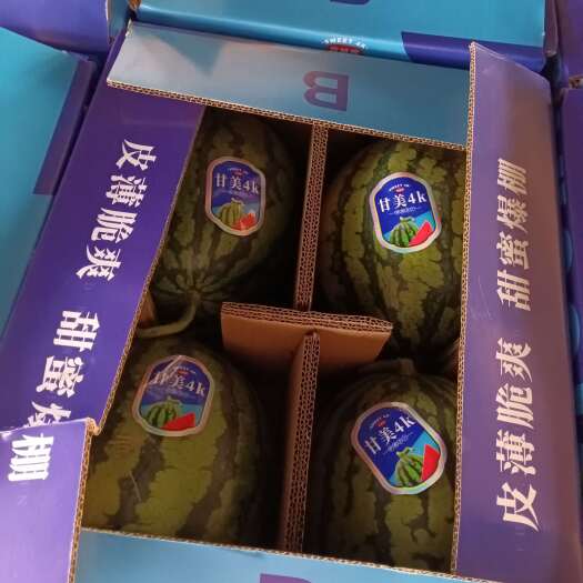 揭阳*甘美4K西瓜｜一口咬进盛夏的蜜罐，甜度爆表的「红色宝石」来