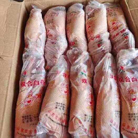 临沂山东临沂白条鸭 新鲜禽畜肉蛋类优质鸭肉