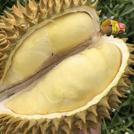 昆明泰国金枕榴莲带壳鲜果香甜糯包三房/四房（4斤以下果少发货慢）