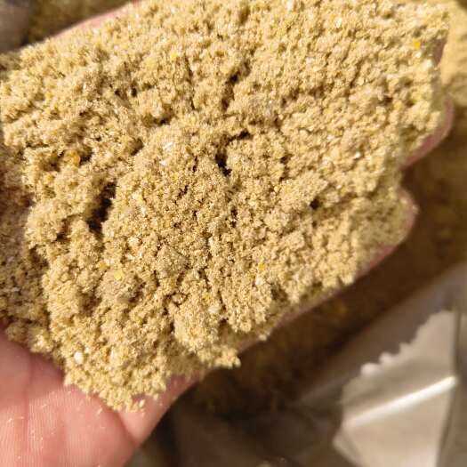 郓城县熟化玉米面