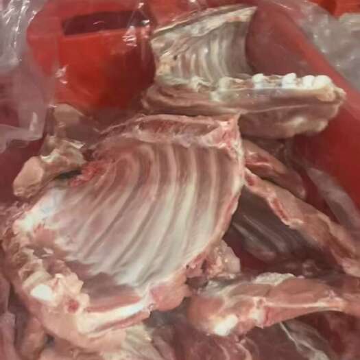 沭阳县冷鲜无颈前排 江苏沭阳直供 10kg/筐 批发价 15 元/