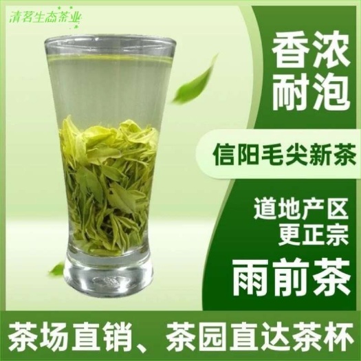 信阳茶叶信阳毛尖2025年新茶雨前浓香型炒青绿茶高山手工茶原产地