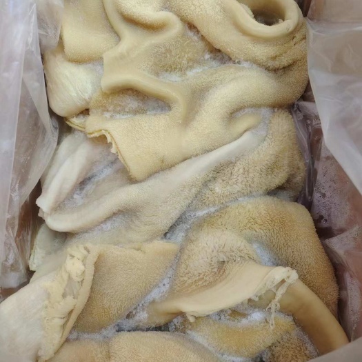 临沂新鲜牛肚批发零售 临沂优质牛副产品 直发兰山区
