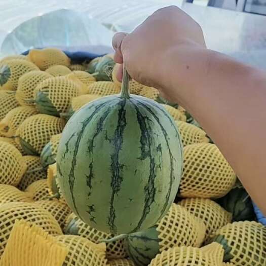 大荔县小糖丸