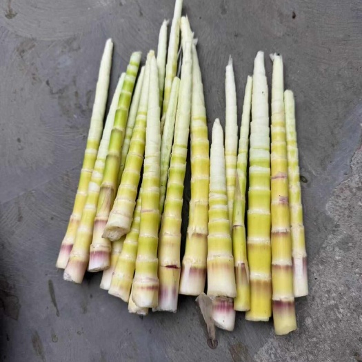 麻江县现摘鲜嫩竹笋大量供应，肉质饱满、品质上乘，产地直发，量大从优