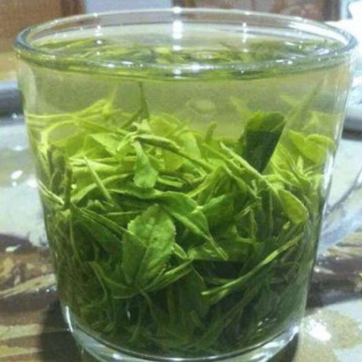 信阳毛尖2025新茶叶雨前口粮茶高山粟香茶场直销炒青绿茶散装