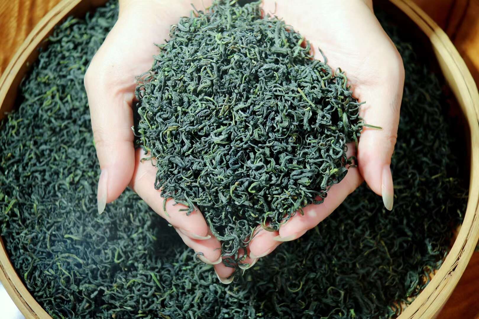 恩施香茶新茶春茶明前茶绿茶高山日照绿茶