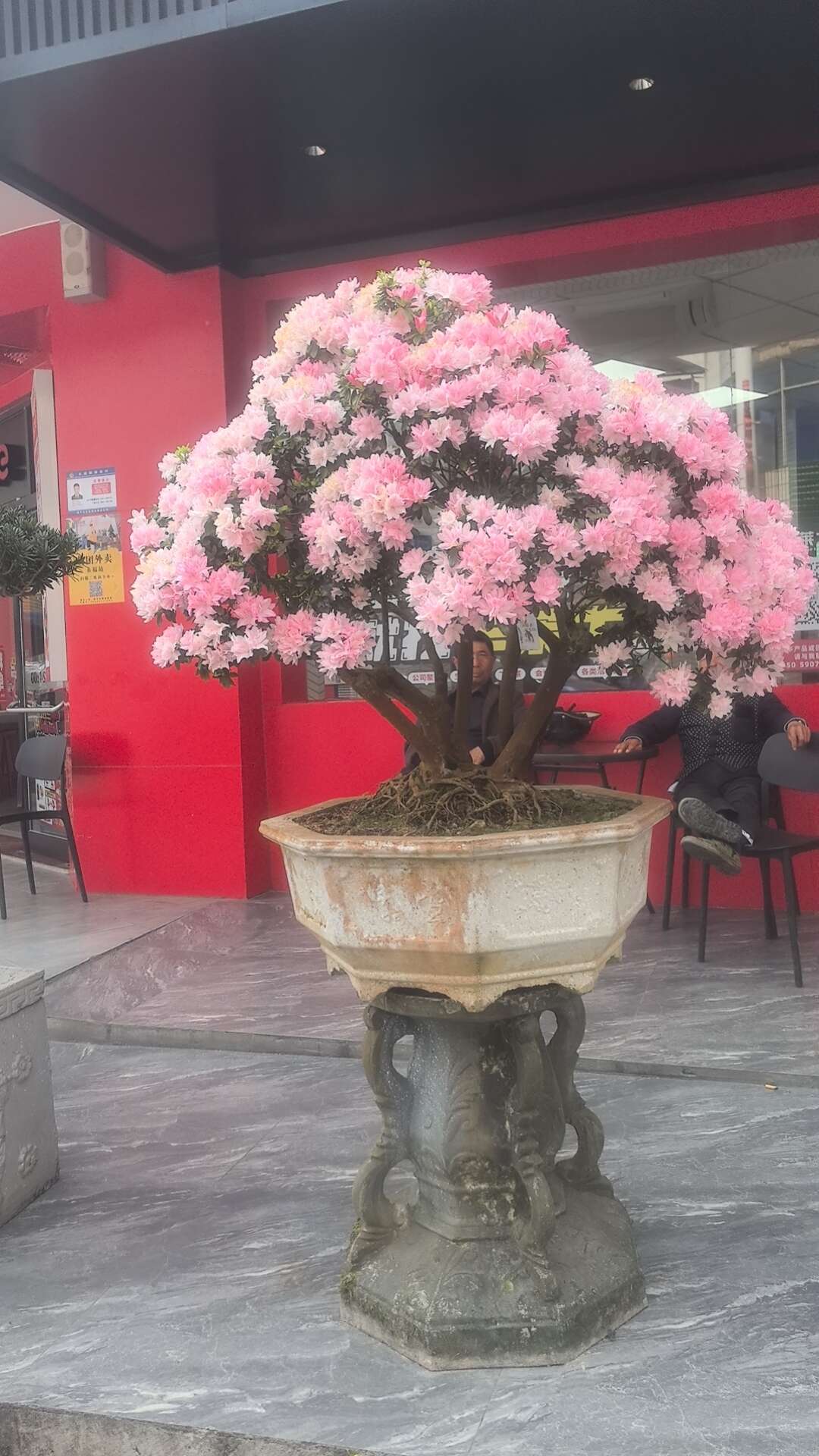 花草