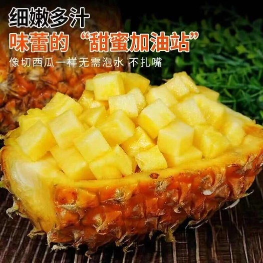 海口海南金钻凤梨5斤新鲜水果树上熟应当季凤梨包邮金钻凤梨脆甜爽口