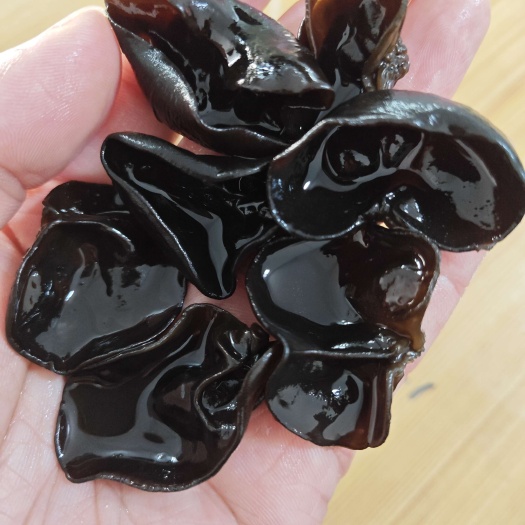可电商代发 可分装小袋 东北黑木耳干货肉厚无根小碗展销会出摊