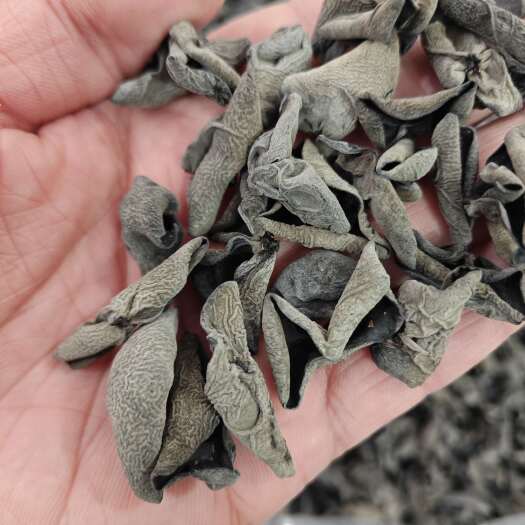 鲁山县可代发可分装 东北黑木耳干货 肉厚无根小碗耳餐饮出摊电商秋耳