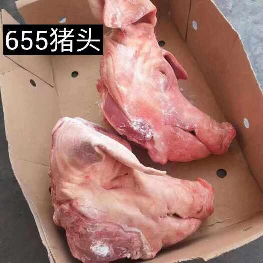 石家庄猪头