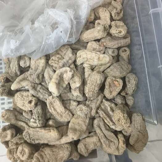 重庆市天麻