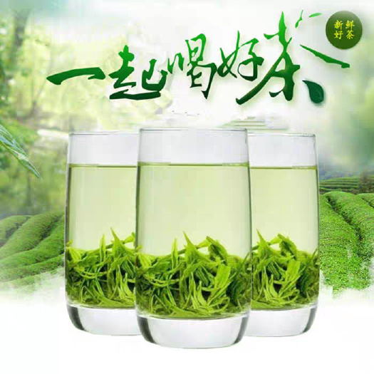 信阳信阳毛尖茶叶2025年春尾口粮茶500克散装包邮