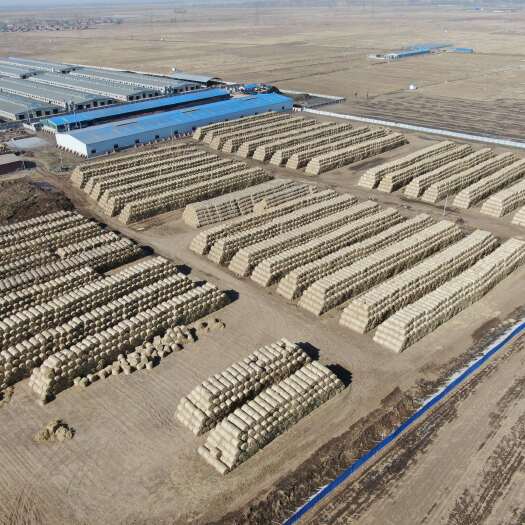 铁岭县沈北扎段稻草小方包无土无膜无霉变全国发货。厂家直销。长草扎
