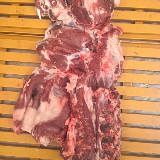 国产羔羊腿肉