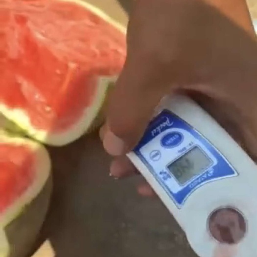 勐海县麒麟瓜
