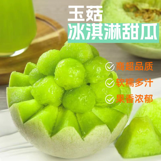 莘县山东聊城莘县新鲜玉菇甜瓜 当日农家现摘现发 产地直供批发