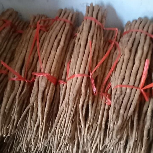 鹤壁河南鹤壁新鲜铁棍山药 根茎类蔬菜 淇滨区现挖现发 价格优势