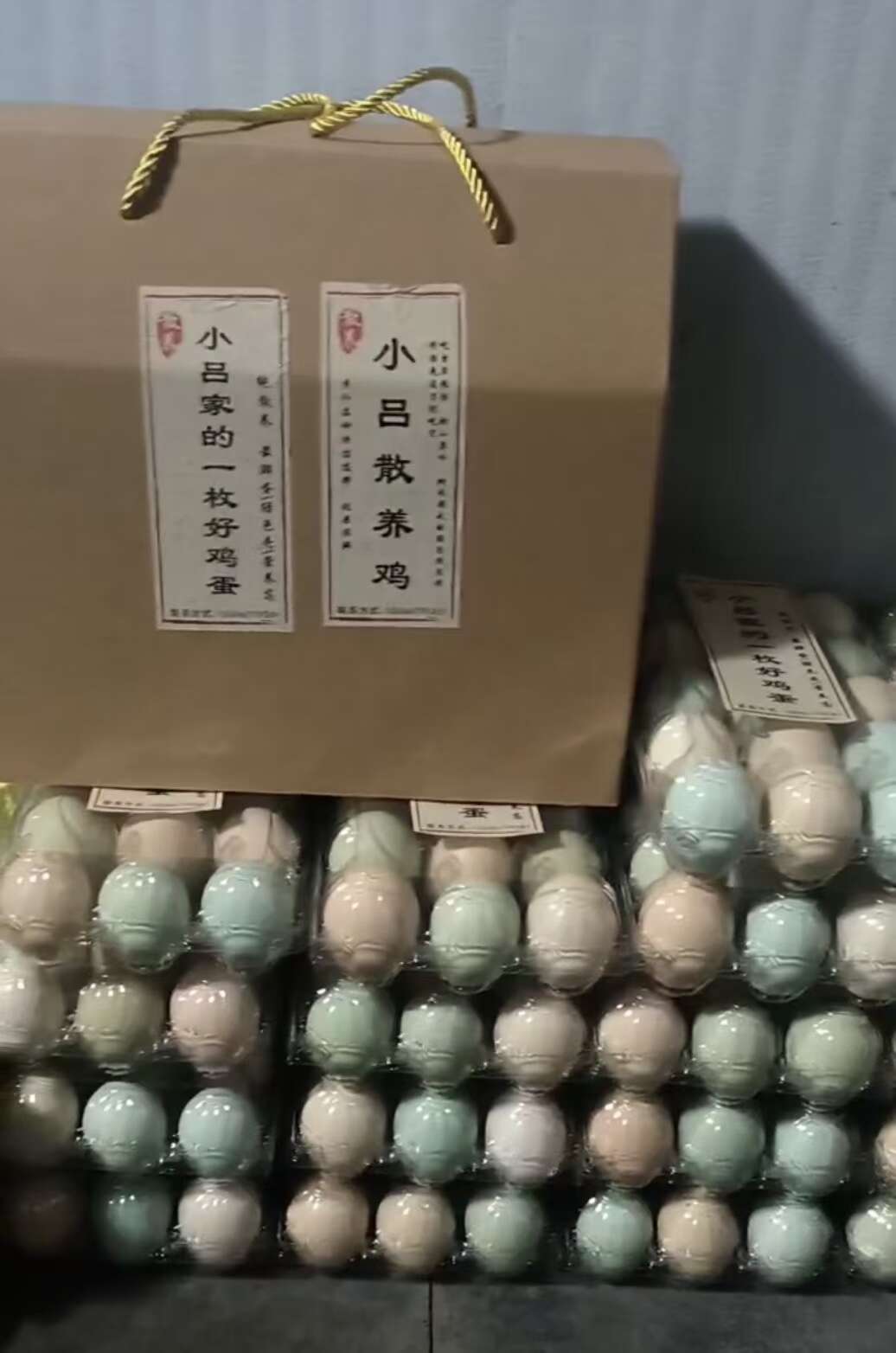 散养五黑鸡红玉鸡一年半有拐子