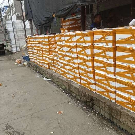 洪湖市湖北荆州洪湖新鲜小龙虾活虾水产批发