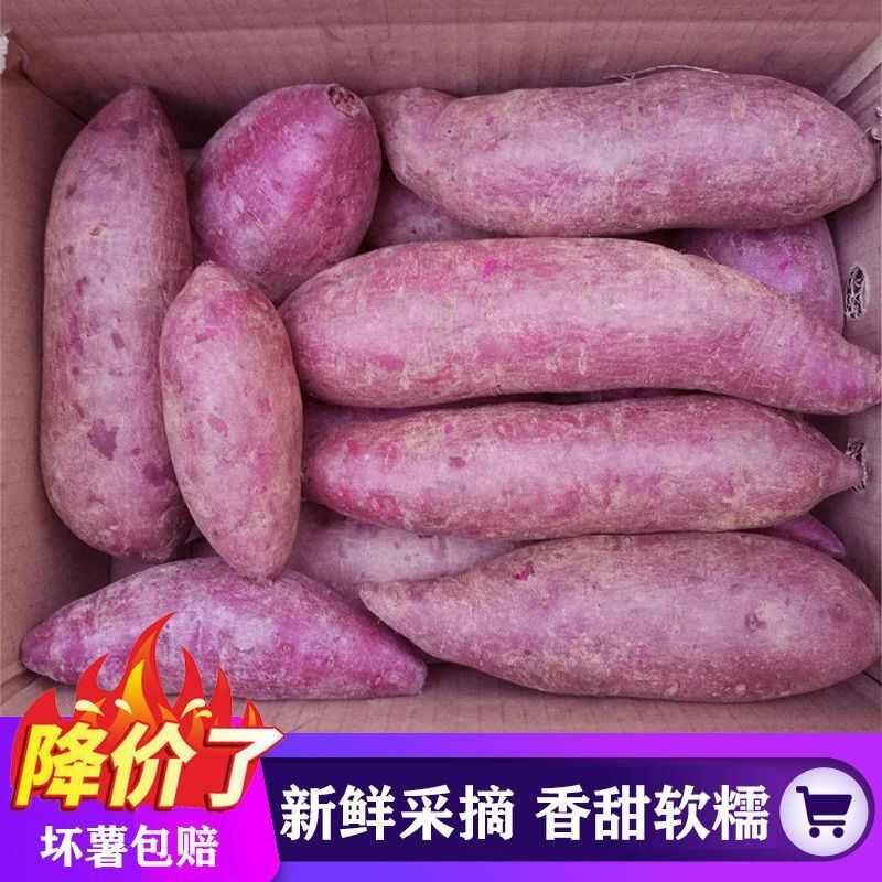 沙地紫薯紫罗兰新鲜蔬菜地瓜番薯粉糯香甜2斤/5斤10斤