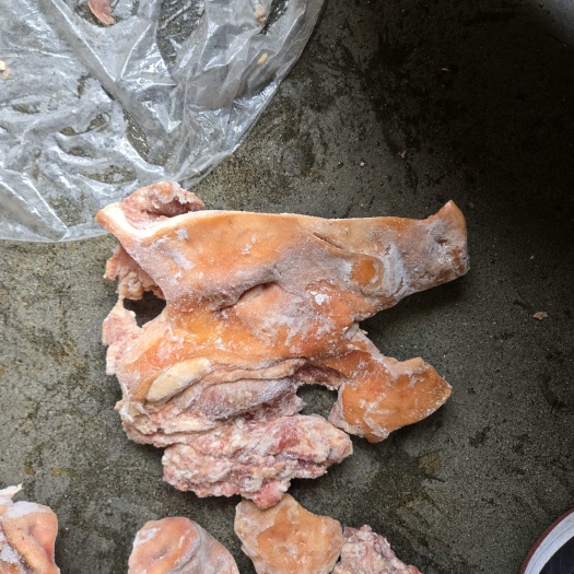 东莞市预煮，松香去毛猪头肉，带核桃肉，一件8片，箱子装，长期生产，