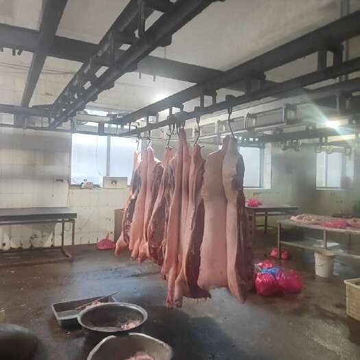 吉林市国产厂家直销东北大猪心管 猪尾 猪鞭 小肚 红肠等猪副产品