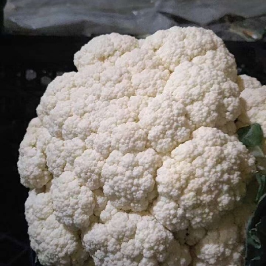 昌黎县新鲜白花菜花 优质甘蓝类蔬菜 秦皇岛昌黎直发货