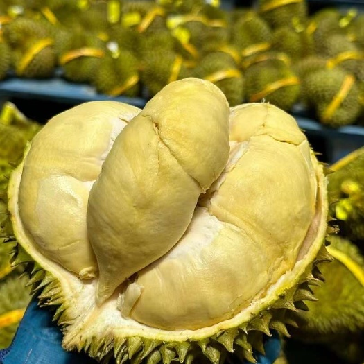 泰国金枕榴莲1.5～10斤装包邮