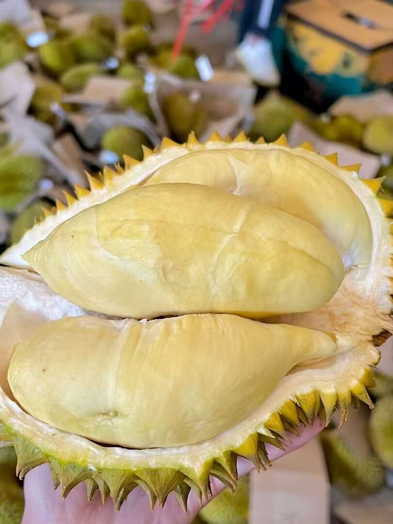 现货泰国金枕头榴莲新鲜水果整个带壳核小肉厚金枕榴莲包邮