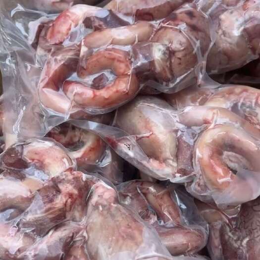中牟县河南郑州新鲜牛副产品牛宝鞭 精选优质货源 直供批发
